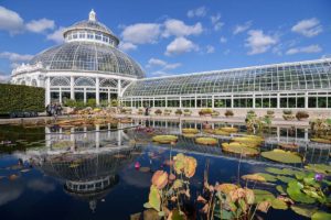 Museums to Visit in the US